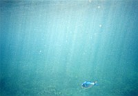[File_08.jpg]