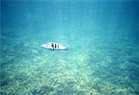 [File_09.jpg]