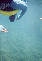 [File_11.jpg]