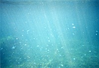 [File_13.jpg]