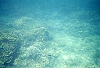 [File_14.jpg]
