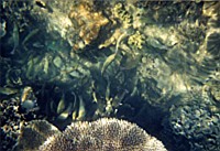 [File_17.jpg]