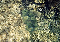 [File_20.jpg]