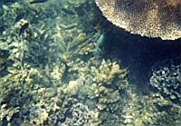 [File_22.jpg]