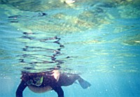 [File_23.jpg]