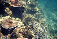 [File_26.jpg]
