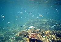 [File_27.jpg]