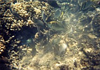 [File_30.jpg]