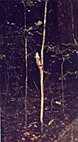 [File_105.jpg]